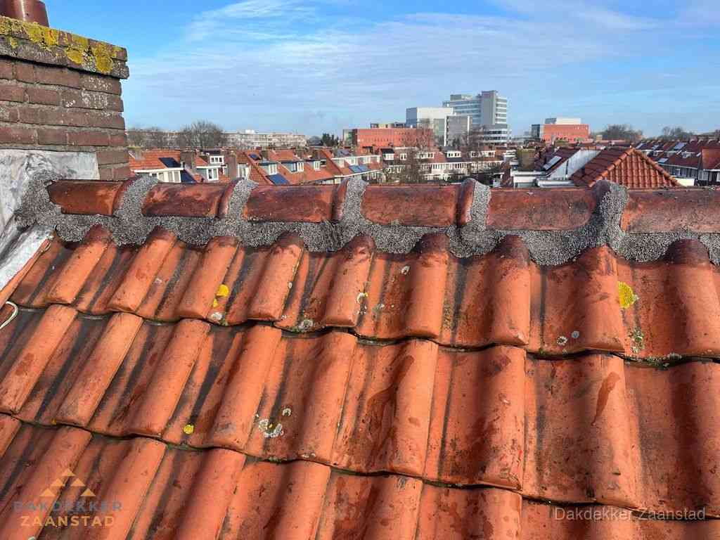 Zaanstad Daken Renoveren Zaanstad Daken Renoveren